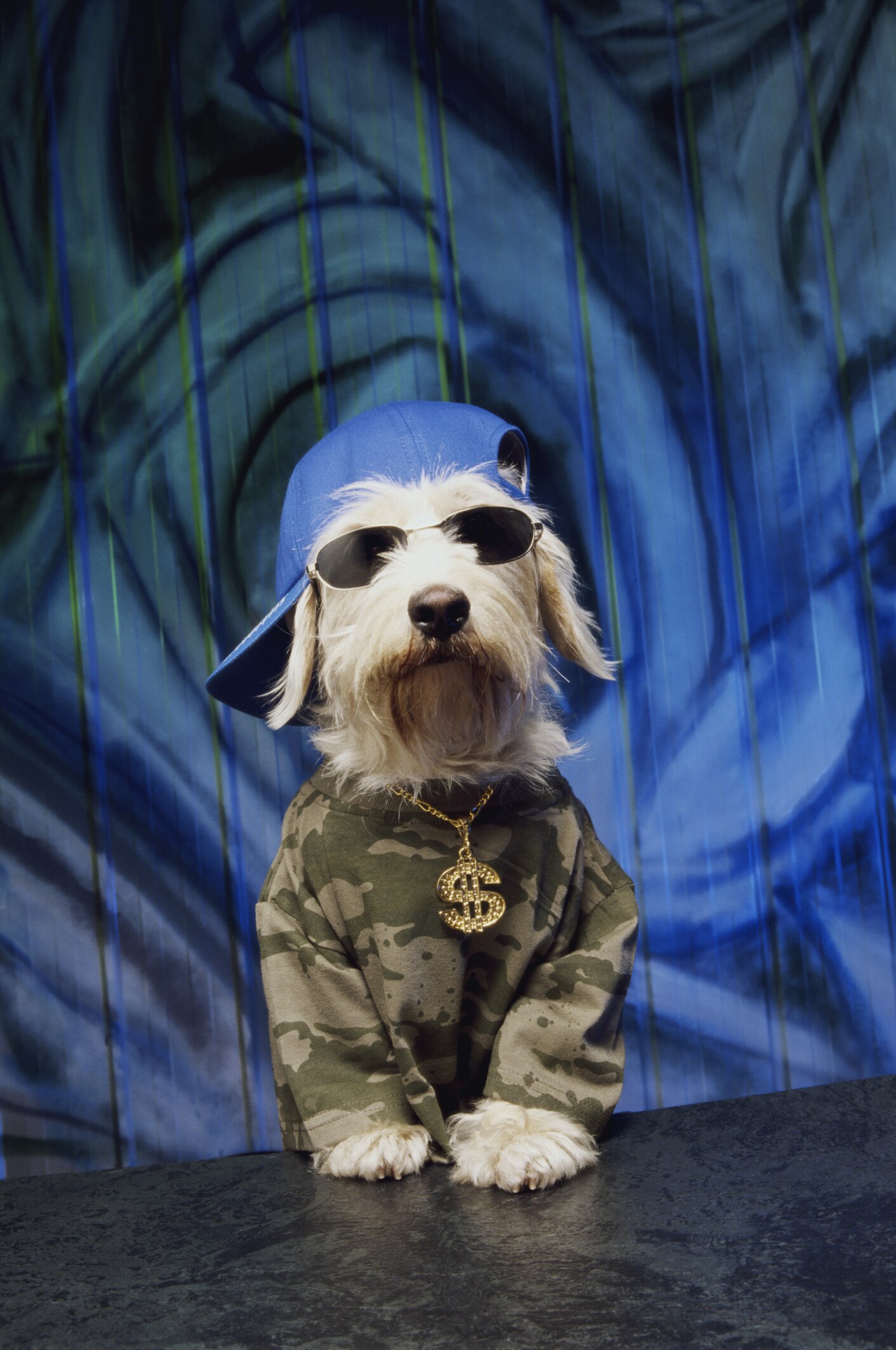 Puppy Rapper