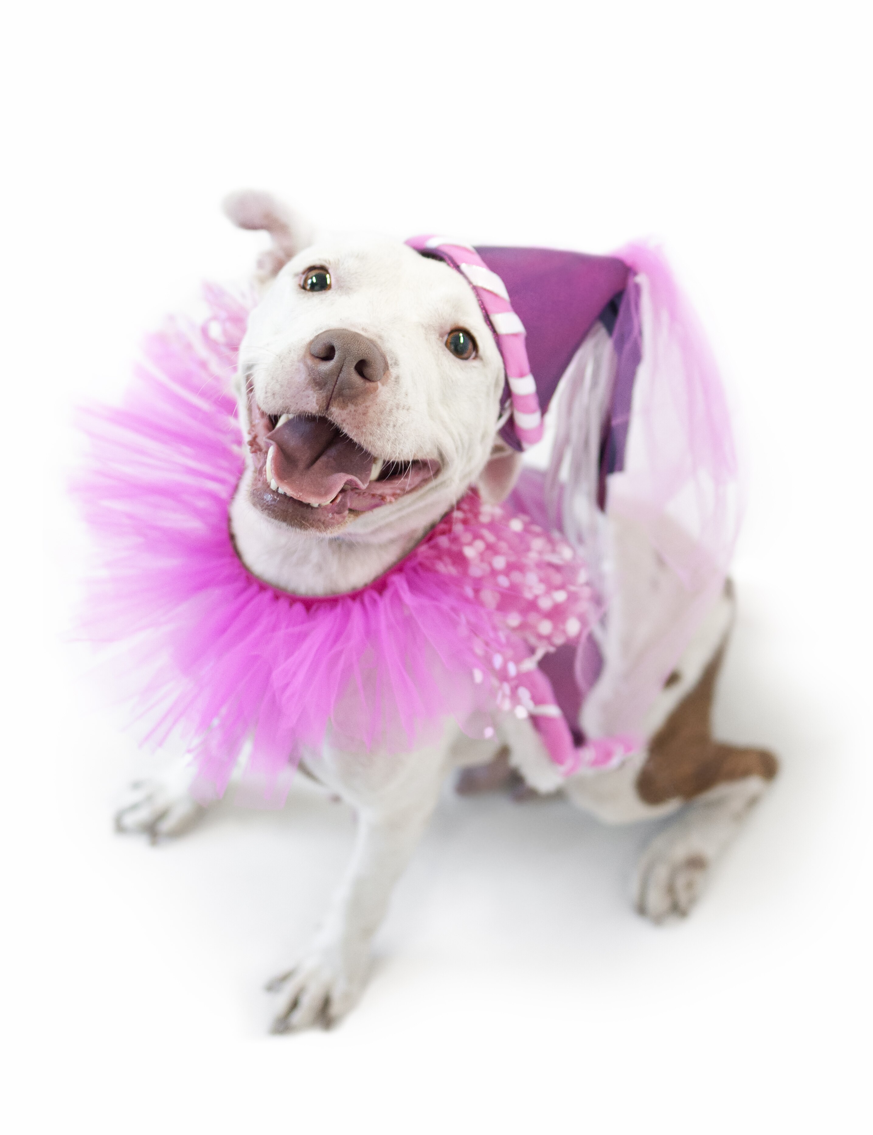 Pretty Princess