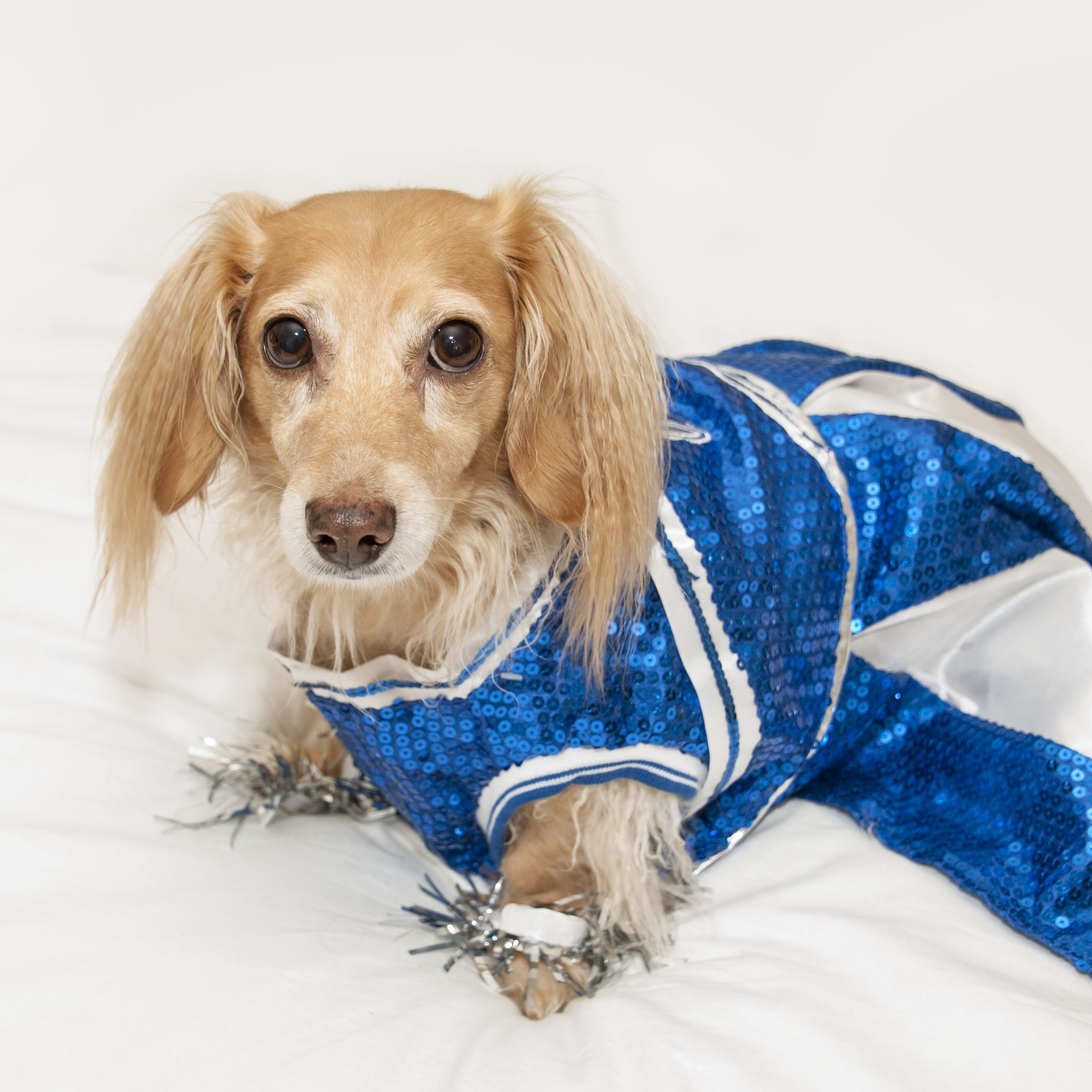 Cheerleader
