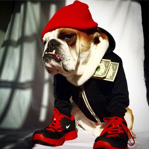 Tough Guy