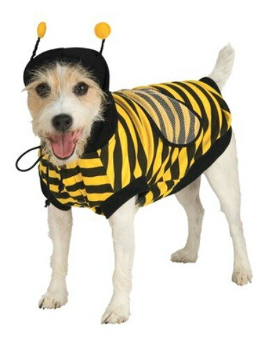 Bee Costume