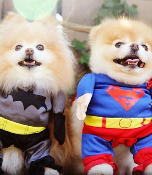 Dynamic Duo