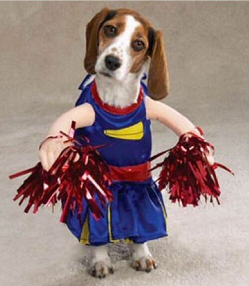 Man's Best Cheerleader