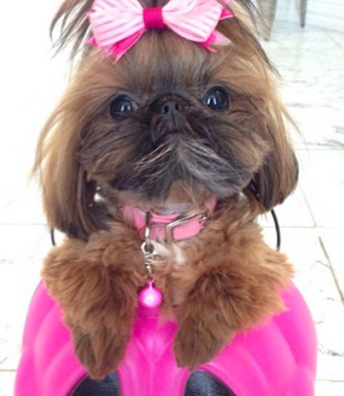 Pretty in Pink