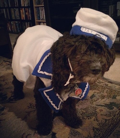 Stay Puft Pup