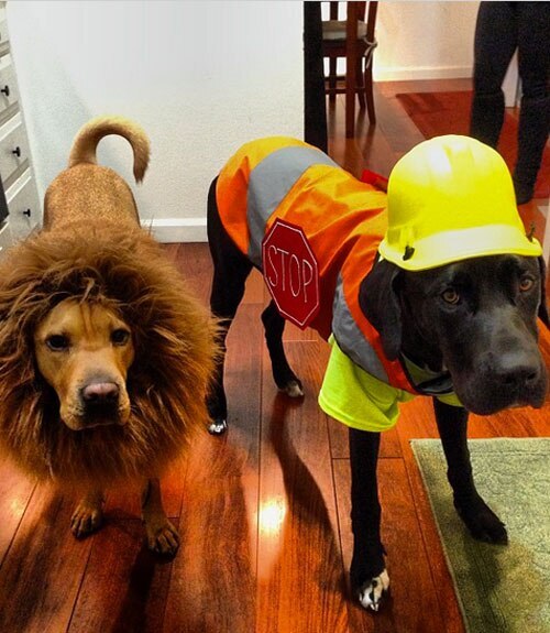 Hard Hat Hero