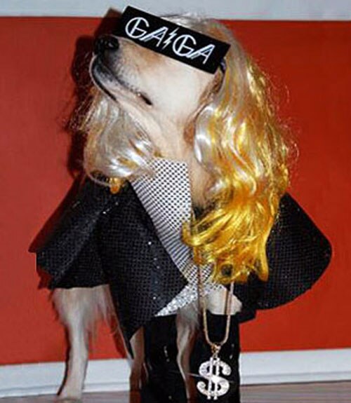 Born this Way