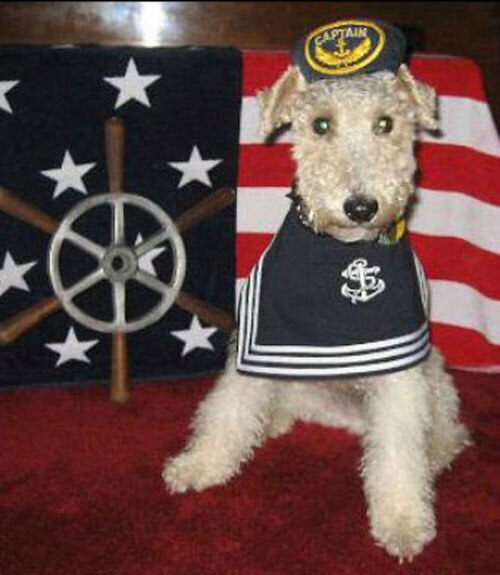 Captain Canine