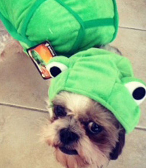 It's Not Easy Being Green