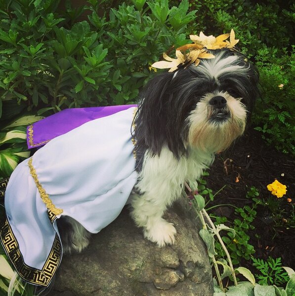 Greek Goddess