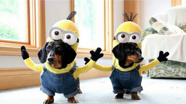 Minion Madness