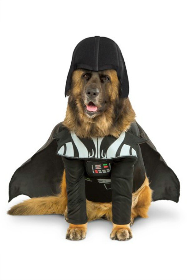  The Force Is Strong