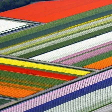 Anna Paulowna Fields, The Netherlands