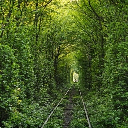 Tunnel of Love, Ukraine