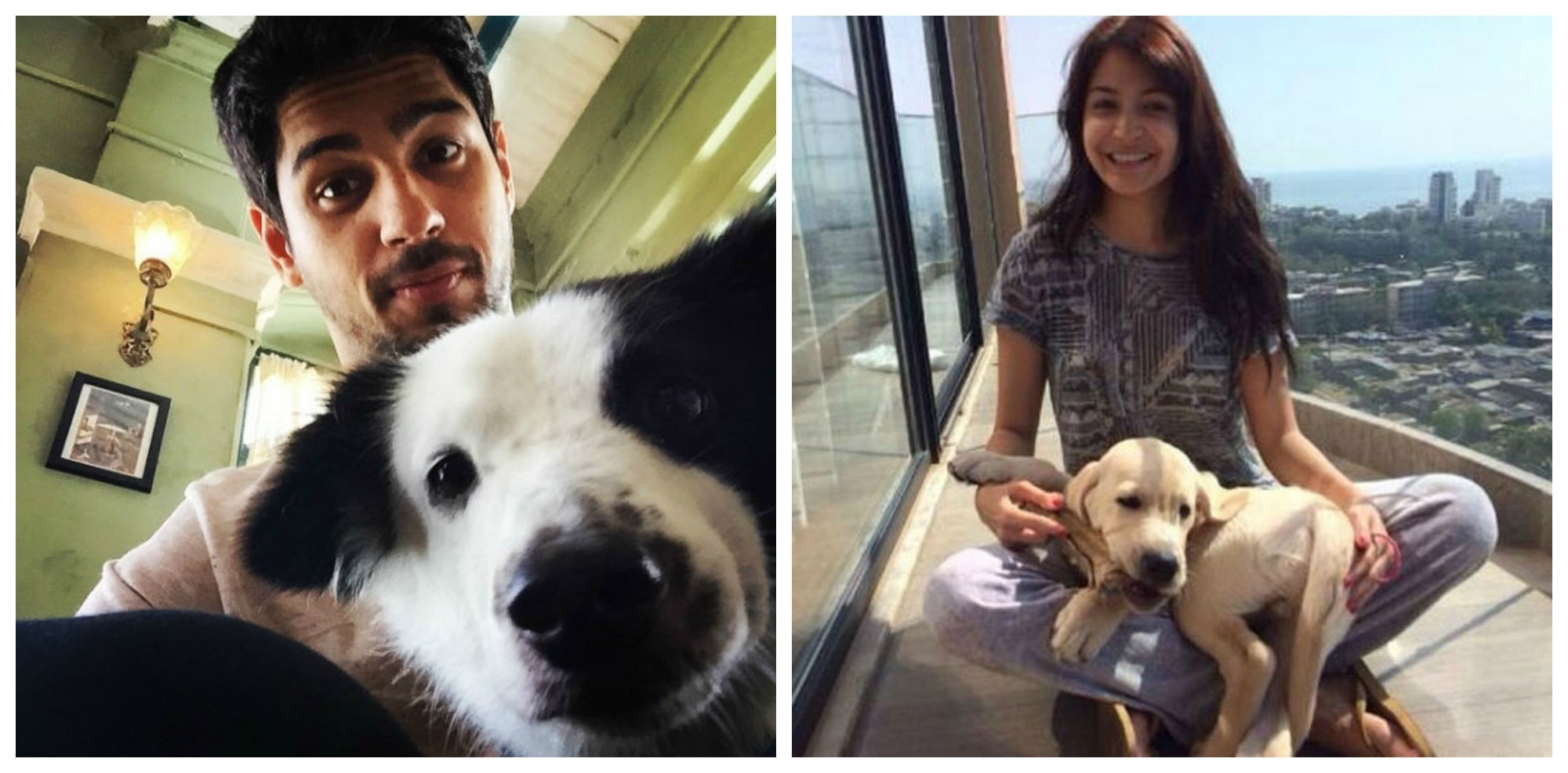 7 Emotions You Didn't Realise Your Dog Could Feel