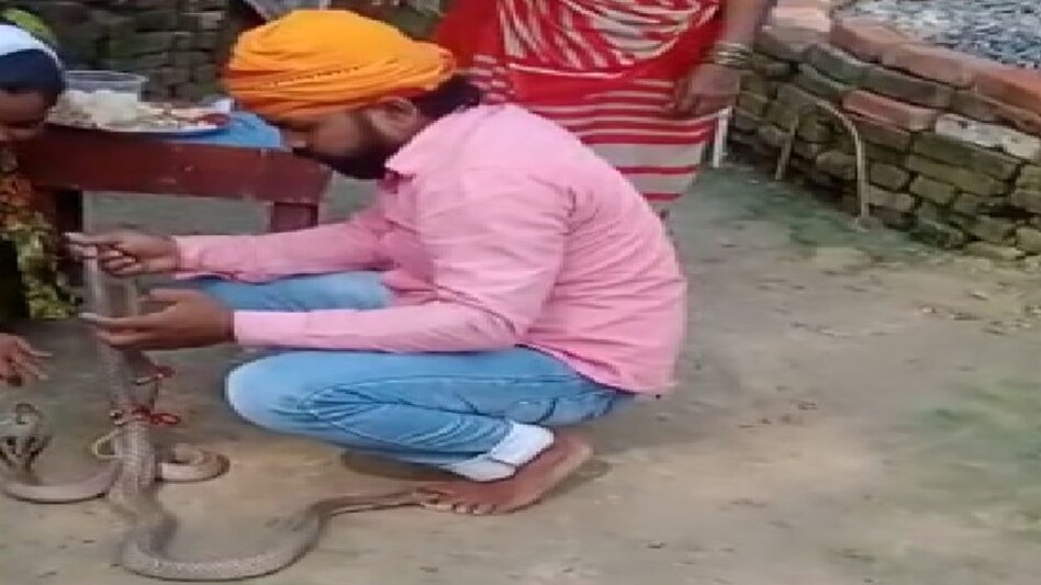 बहन से सांप को राखी बंधवाई, बदले में सांप ने भाई को डसकर दिया 'मौत का गिफ्ट' बहन से सांप को राखी बंधवाई, बदले में सांप ने भाई को डसकर दिया 'मौत का गिफ्ट'