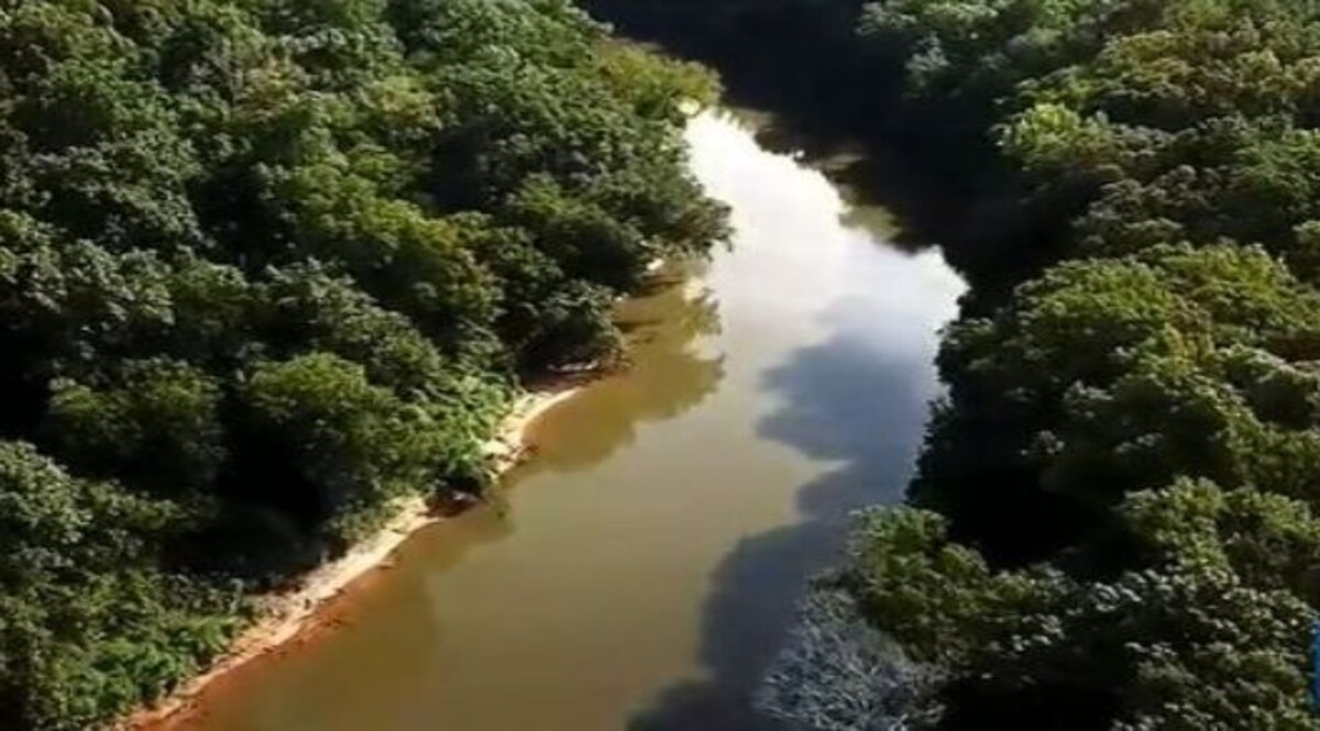 नदी के पानी से अचानक बाहर आने लगीं 200 सिर कटी बकरियों की लाशें! CrimeTak