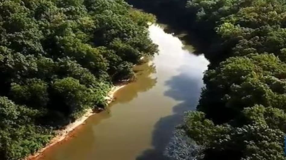 नदी के पानी से अचानक बाहर आने लगीं 200 सिर कटी बकरियों की लाशें! नदी के पानी से अचानक बाहर आने लगीं 200 सिर कटी बकरियों की लाशें!