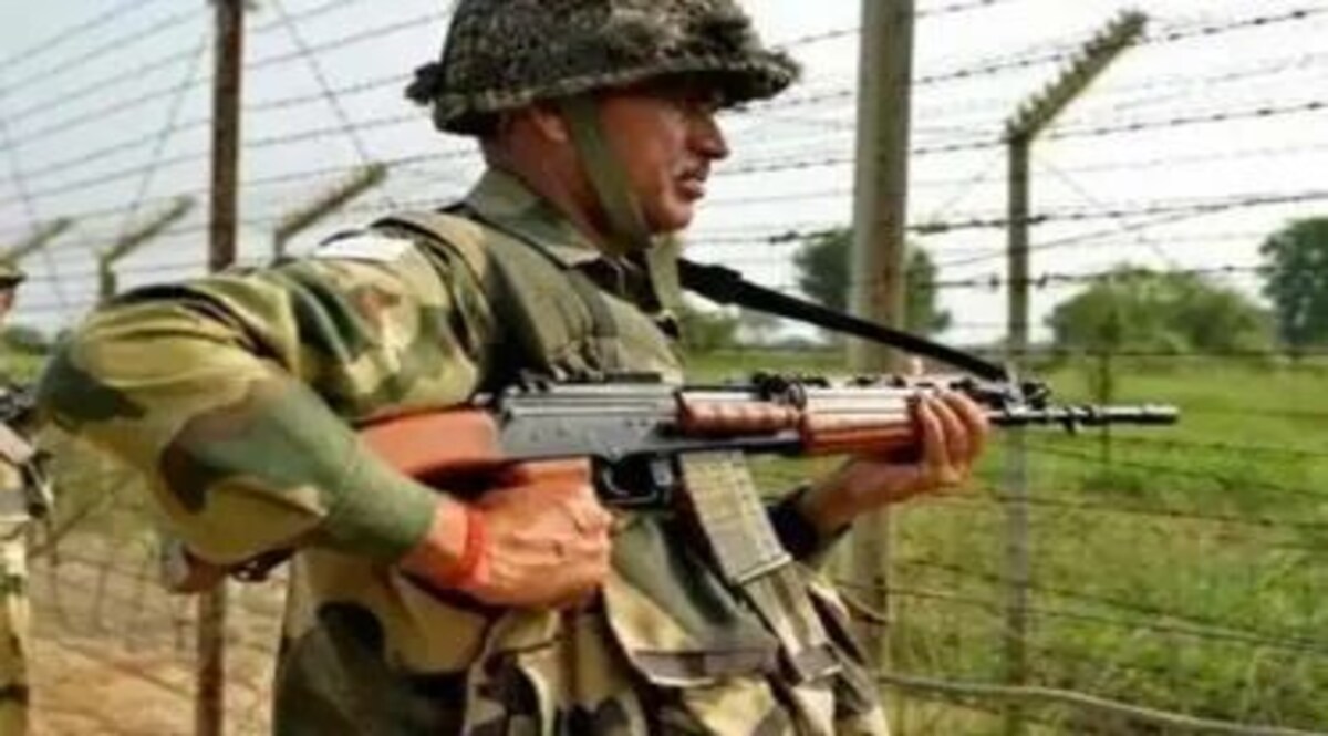 क्या दो पाकिस्तानी भारतीय सीमा पर घुसे? फाइल चित्र