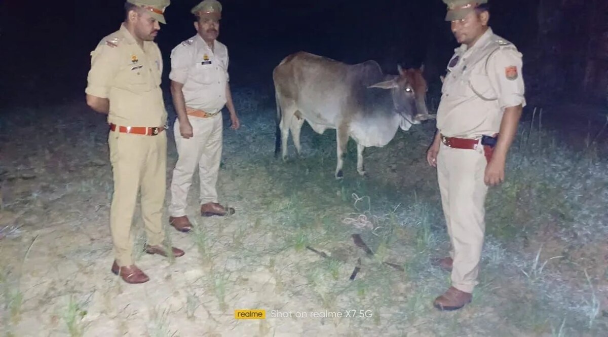 गाजियाबाद के भोजपुर में काट रहे थे गाय, गैंगस्टर गोकश रेहान पुलिस एनकाउंटर में गिरफ़्तार, गोवंश बरामद आरोपी गिरफ़्तार