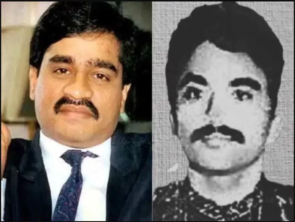 'दाऊद जिंदा है, उसे कुछ नहीं हुआ', उसके राइट हैंड छोटा शकील का बड़ा दावा! 'दाऊद जिंदा है, उसे कुछ नहीं हुआ', उसके राइट हैंड छोटा शकील का बड़ा दावा!