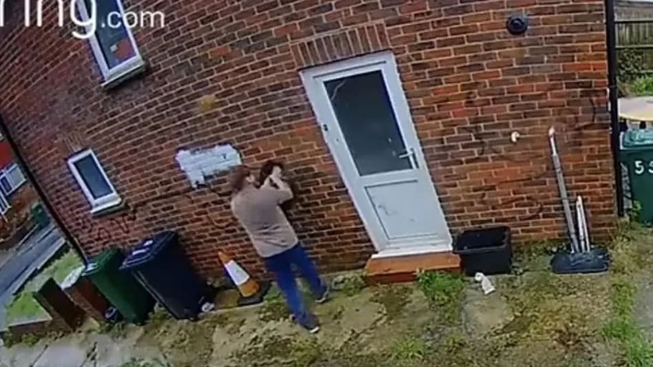 प्रोफेशनल डॉग वॉकर बन गया 'एनिमल', मामला पहुँचा कोर्ट, खबर सुनकर उड़ जाएंगे होश प्रोफेशनल डॉग वॉकर बन गया 'एनिमल', मामला पहुँचा कोर्ट, खबर सुनकर उड़ जाएंगे होश