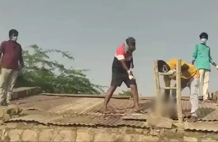 Hyderabad Monkey Died: तेलंगाना में इस वजह से मर गए 40 बंदर! Hyderabad Monkey Died Latest News