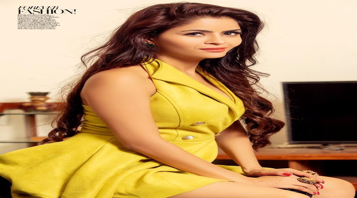 गहना वशिष्ठ और राजकुंद्रा कनेक्शन ,
कैसे एक साधारण लडकी ने पोर्न फिल्मों में काम करना शुरू किया CrimeTak