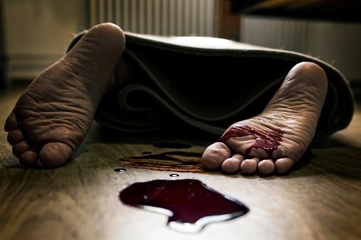 अगर पुलिस के सायरन की आवाज नहीं आती तो क्या होता,
यूपी में नहीं थम रहा है अपराध, अगर पुलिस के सायरन की आवाज नहीं आती तो क्या होता, यूपी में नहीं थम रहा है अपराध,