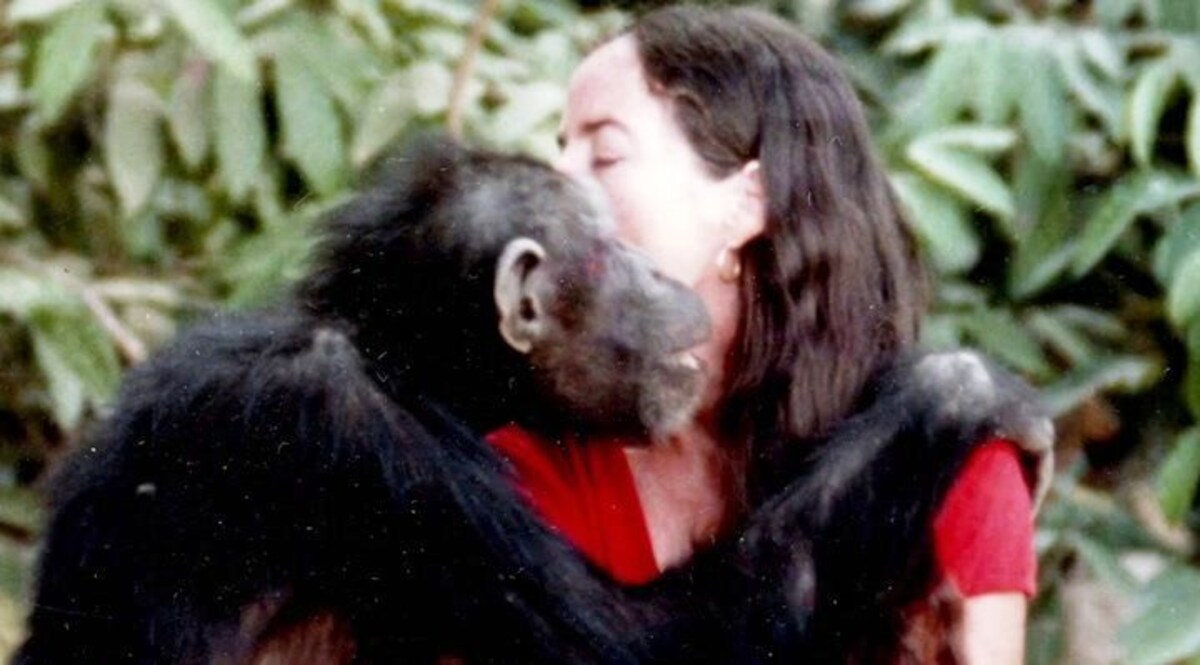 इस खूबसूरत हसीना को चिम्पैंजी से हुआ प्यार, बनाया लाइफ पार्टनर, लेकिन ये बने विलेन? जानें CrimeTak