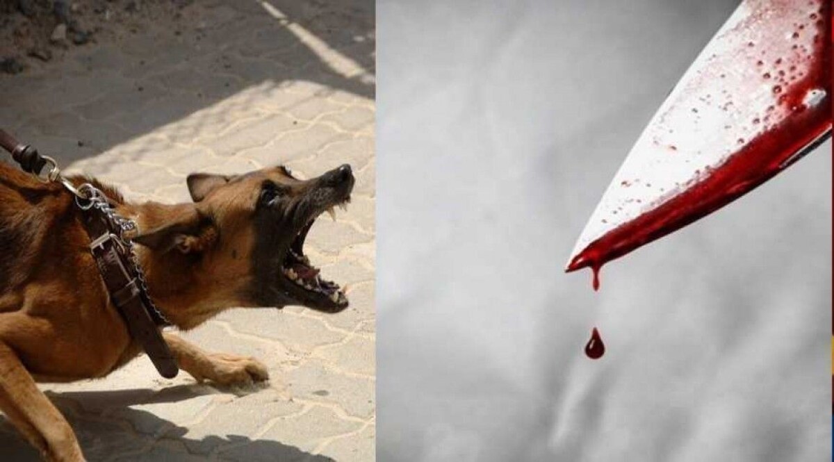 नशे में इस युवक ने डॉगी के साथ की हैवानियत CrimeTak