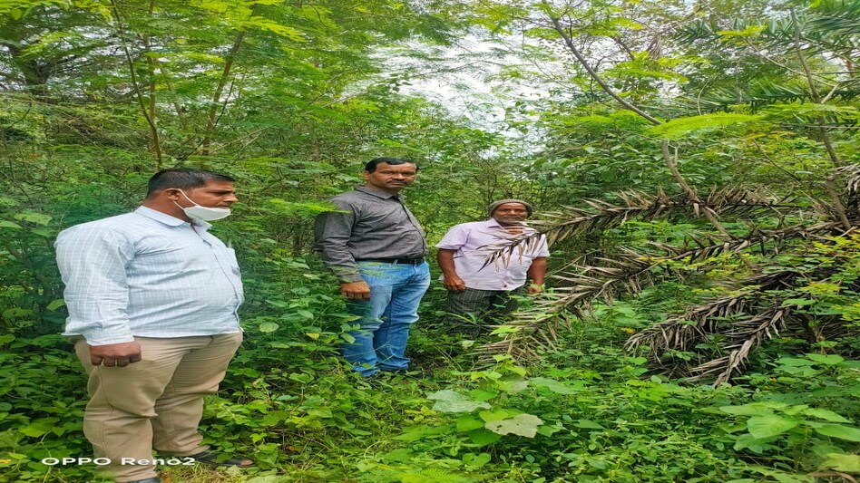 2.5 साल बाद खुला 14 दिन के बच्चे के क़त्ल का राज़,अनाथालय का बहाना बनाकर मरने के लिए जंगल में फेंका मासूम 2.5 साल बाद खुला 14 दिन के बच्चे के क़त्ल का राज़,अनाथालय का बहाना बनाकर मरने के लिए जंगल में फेंका...