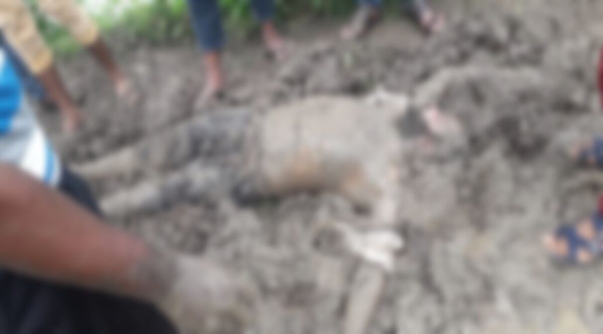 ये कैसा अंधविश्वास : करंट लगा तो मरा समझ कीचड़ में लिटाया, डॉक्टरों ने मृत घोषित किया CrimeTak