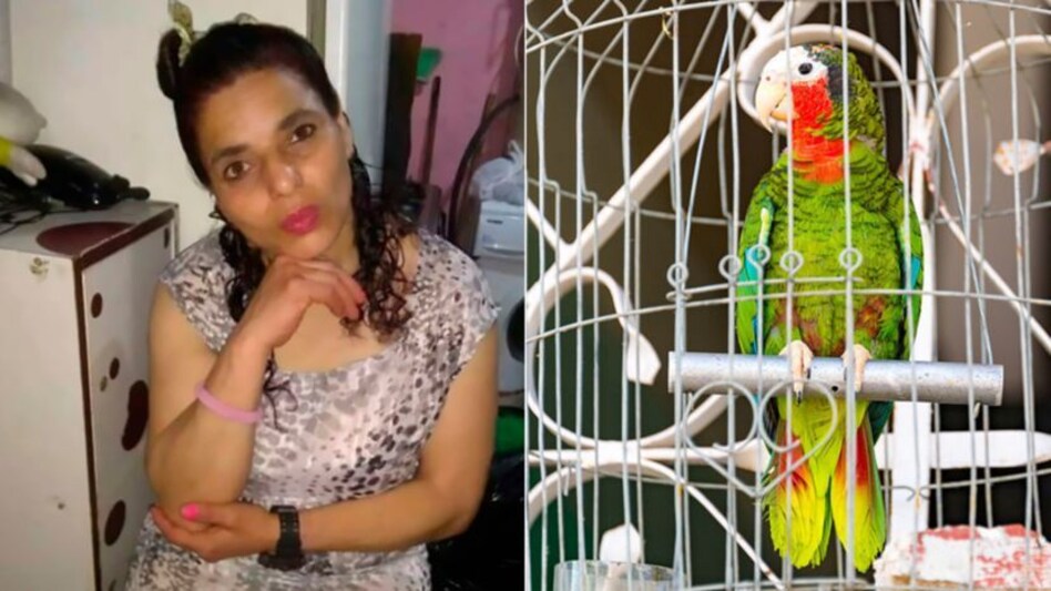 क्या ये तोता अपनी मालकिन को इंसाफ दिला पाएगा? क्या ये तोता अपनी मालकिन को इंसाफ दिला पाएगा?
