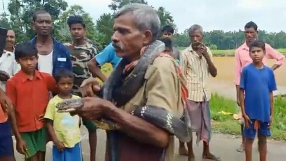 किंग कोबरा के साथ कर रहा था मौत का नाच,
सांप के डसे जाने के कुछ मिनट में निकल गई जान किंग कोबरा के साथ कर रहा था मौत का नाच,सांप के डसे जाने के कुछ मिनट में निकल गई जान