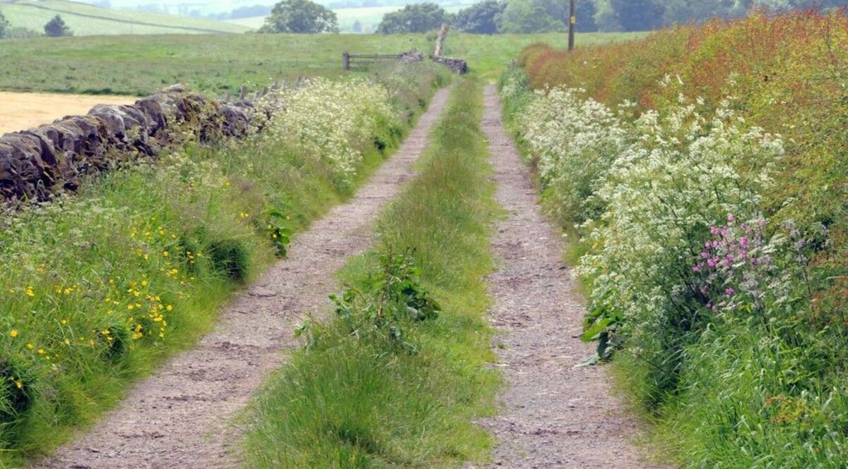 फसल की रखवाली कर रहे दो किसानों की सनसनीखेज तरीके से हत्या! CrimeTak