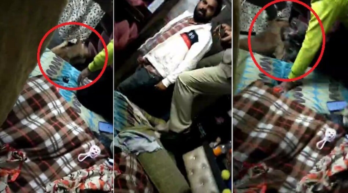 चोर को पकड़ने गई पुलिस ने पिटबुल और पालतू कुत्ते में कराई फाइट! देखें VIDEO CrimeTak