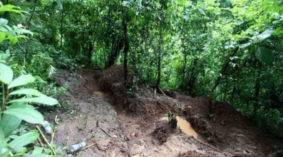 झूठा है शीना बोरा के ज़िंदा होने का दावा? तफ्सील से समझिए पूरी कहानी CrimeTak