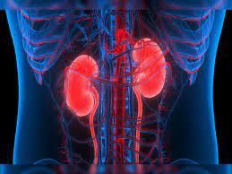 Rape News : रेप केस में 3 साल की सजा काट उसी लड़की से रचाई शादी, बोला : जेल की जिंदगी से यही अच्छा Rape News : रेप केस में 3 साल की सजा काट उसी लड़की से रचाई शादी, बोला : जेल की जिंदगी से यही अच्छा