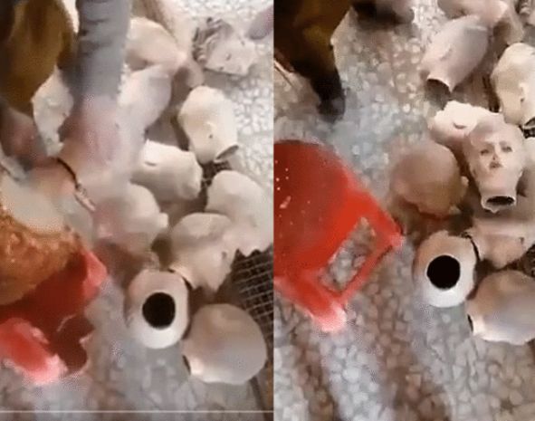 तालिबान ने मॉडल्स के पुतलों के सिर कलम किए! देखे वीडियो CrimeTak