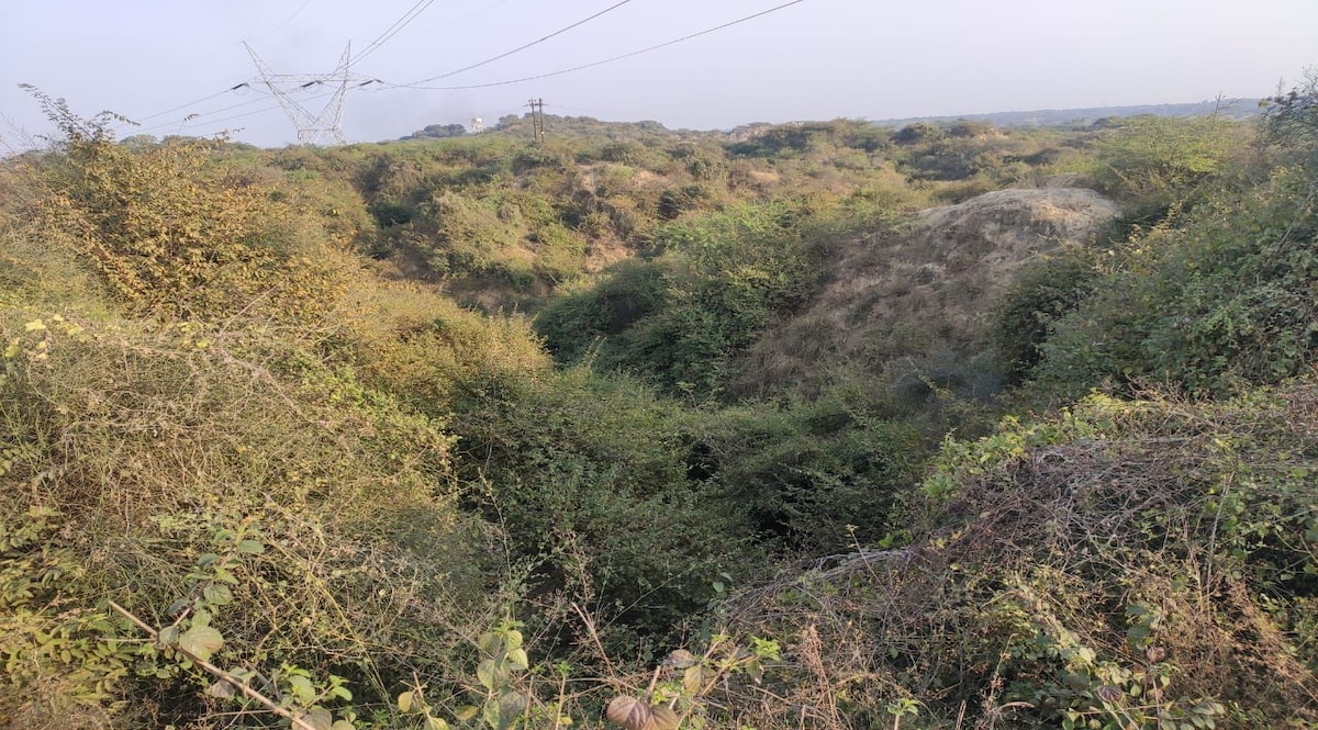 ...तो ऐसे होती थी डकैतों की ट्रेनिंग! एक डकैत की ज़ुबानी, डकैतों की ट्रेनिंग की कहानी CrimeTak
