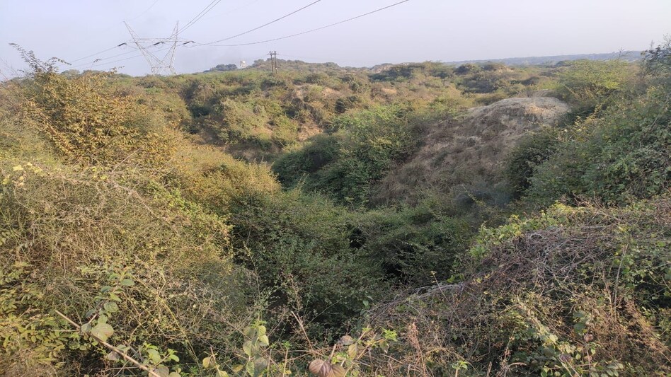 ...तो ऐसे होती थी डकैतों की ट्रेनिंग! एक डकैत की ज़ुबानी, डकैतों की ट्रेनिंग की कहानी ...तो ऐसे होती थी डकैतों की ट्रेनिंग! एक डकैत की ज़ुबानी, डकैतों की ट्रेनिंग की कहानी