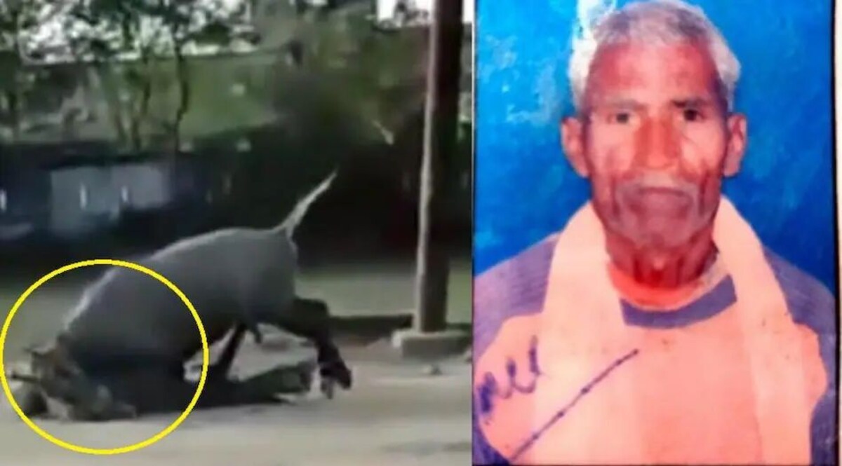 UP : नील गाय ने ली एक किसान की जान ! CrimeTak