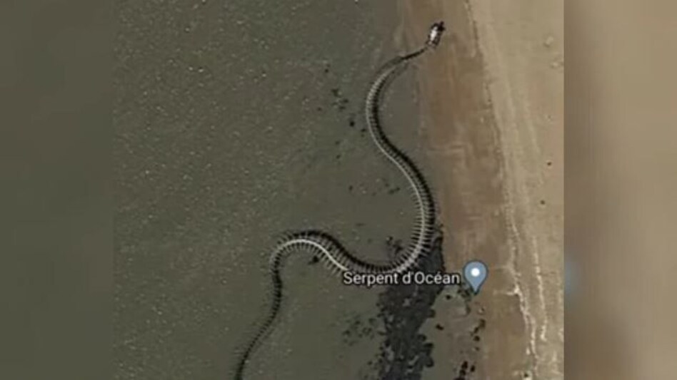 Google Maps पर दिखा सबसे बड़े सांप का कंकाल, सच्चाई जान कर सन्न हुए लोग Google Maps पर दिखा सबसे बड़े सांप का कंकाल, सच्चाई जान कर सन्न हुए लोग