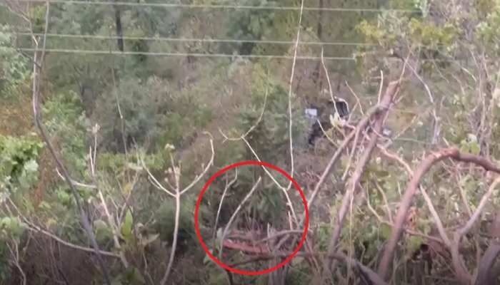 Uttarakhand Bus Accident : तीर्थयात्रियों से भरी बस खाई में गिरी, 22 की मौत Uttarakhand Bus Accident : तीर्थयात्रियों से भरी बस खाई में गिरी, 22 की मौत