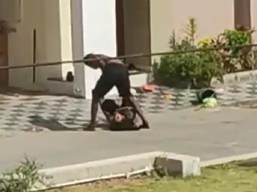 सनसनीखेज वीडियो गुजरात : फॉरेंसिक साइंस के स्टूडेंट्स ने अपनी ही बहन पर किए चाकू से कई वार, मां भी जख्मी CrimeTak