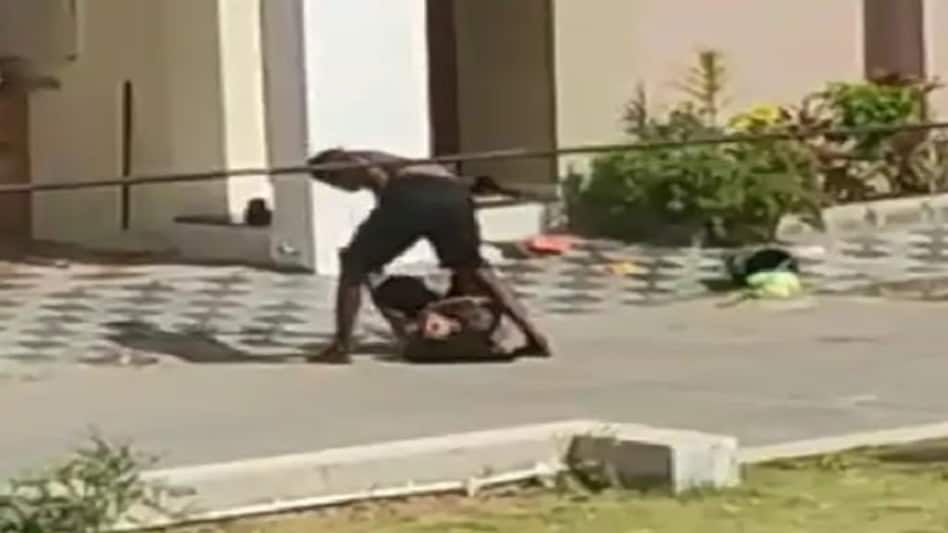 सनसनीखेज वीडियो गुजरात : फॉरेंसिक साइंस के स्टूडेंट्स ने अपनी ही बहन पर किए चाकू से कई वार, मां भी जख्मी सनसनीखेज वीडियो गुजरात : फॉरेंसिक साइंस के स्टूडेंट्स ने अपनी ही बहन पर किए चाकू से कई वार, मां भी ...