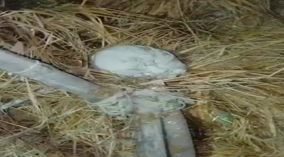 UP News: तांत्रिक ने जलती चिता से लाश का सिर काट कर निकाल लिया...एक खौफ़नाक दास्तान CrimeTak