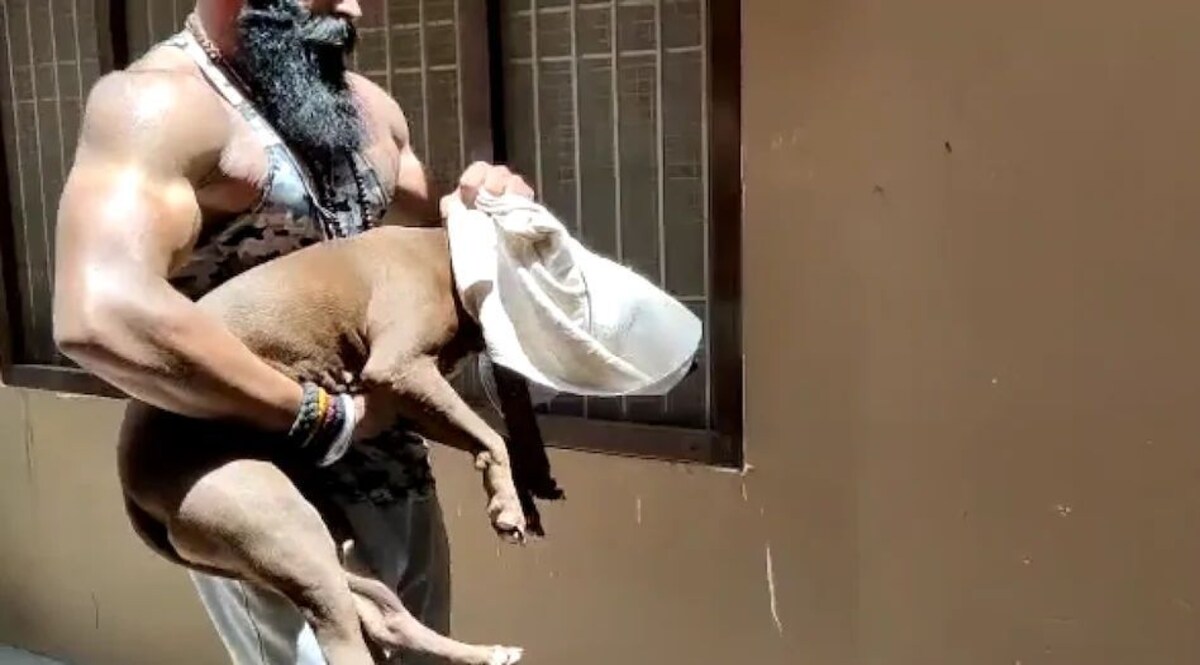 Lucknow: 80 साल की सुशीला को मार डालने वाला पिटबुल जब्त! CrimeTak