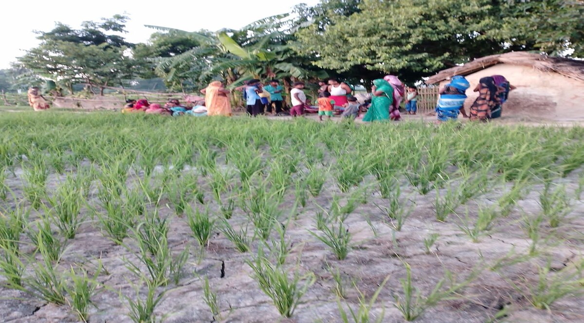 UP Crime: गोरखपुर के पास डबल मर्डर से सनसनी, पिता-पुत्र का गला काट दिया! CrimeTak